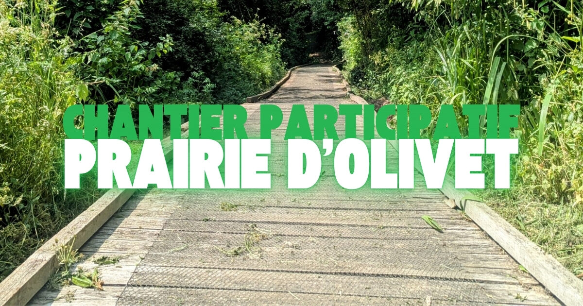 Prairie d'olivet chantier participatif
